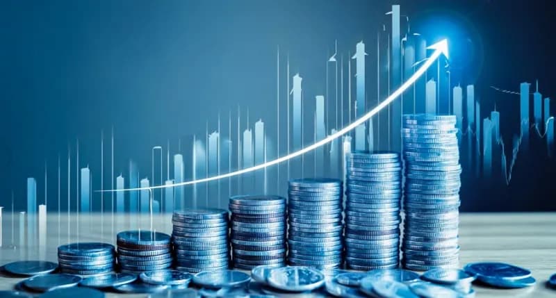 Strategic Finance & Growth Advisory